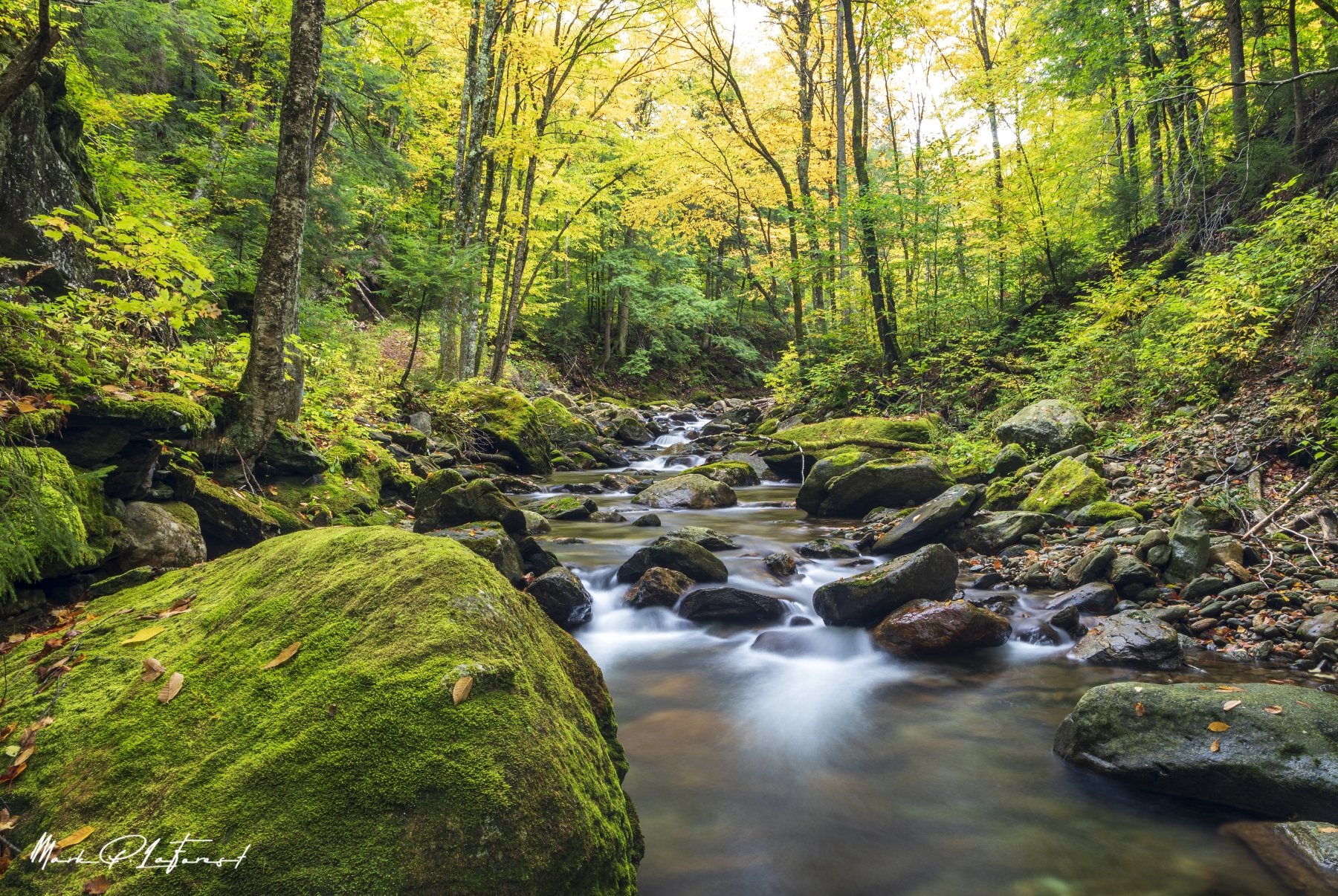 /gallery/north_america/USA/Vermont/chittenden brook/Chittenden Brook VT 2021-011_med.jpg
